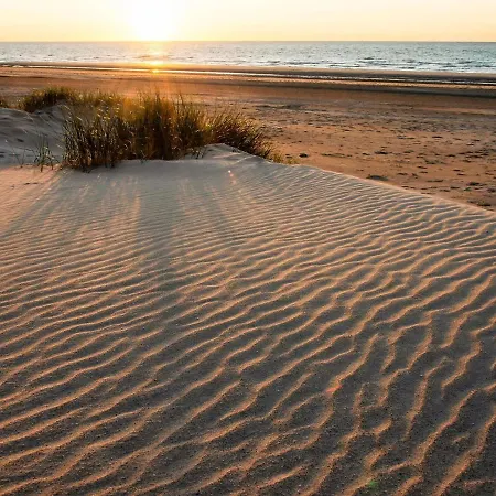 Bright With The Terrace