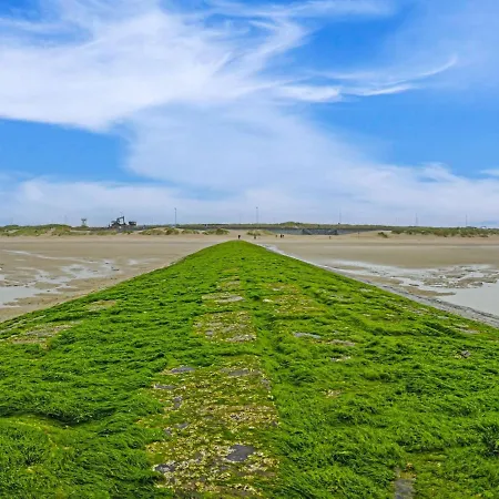 Bright With The Terrace *