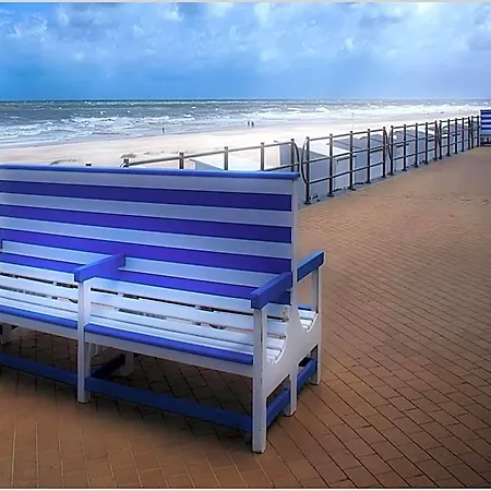Bright With The Terrace